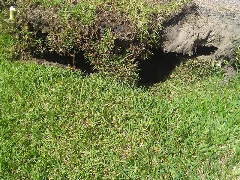 Soil Stabilization in Clewiston, FL